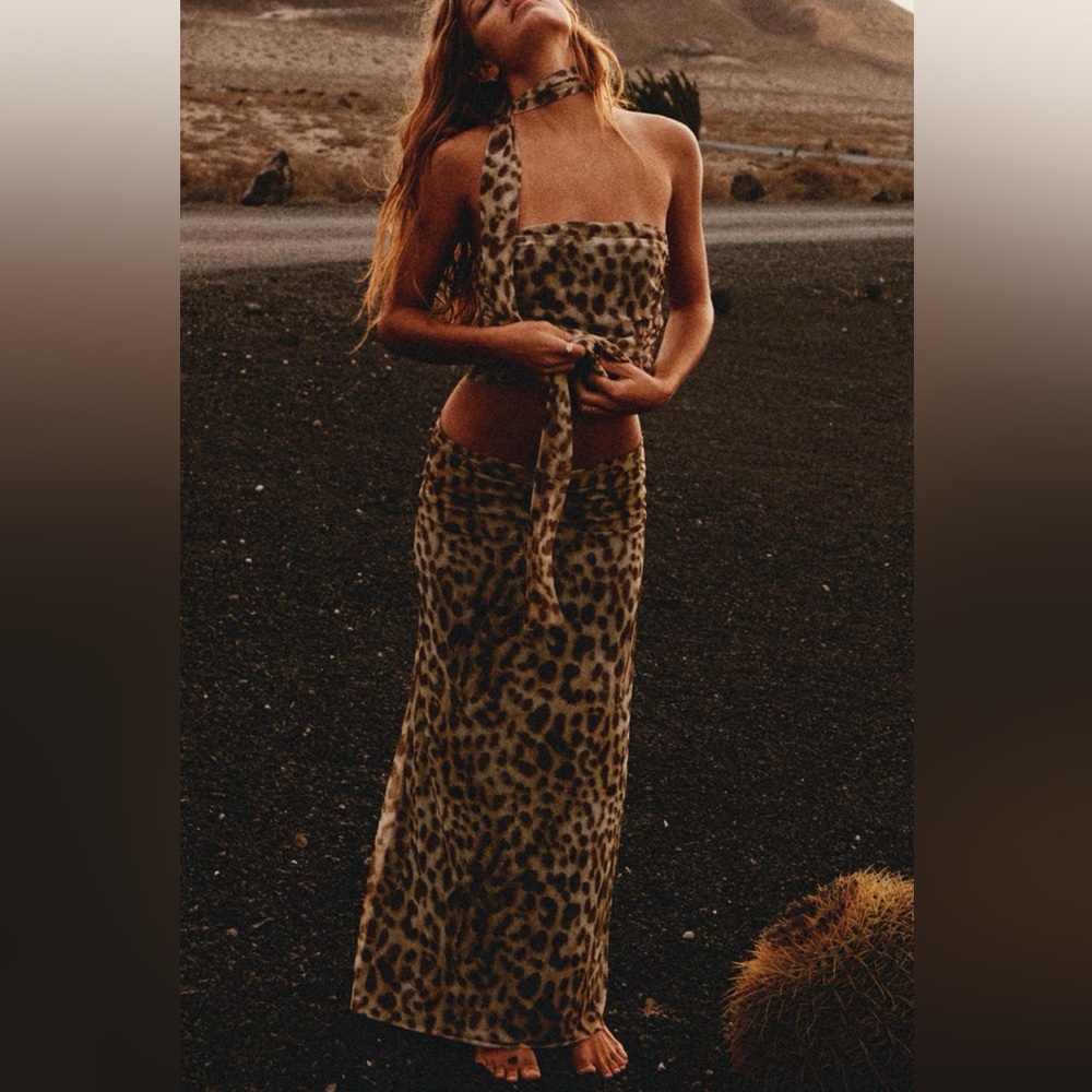 Zara Leopard Print Skirt